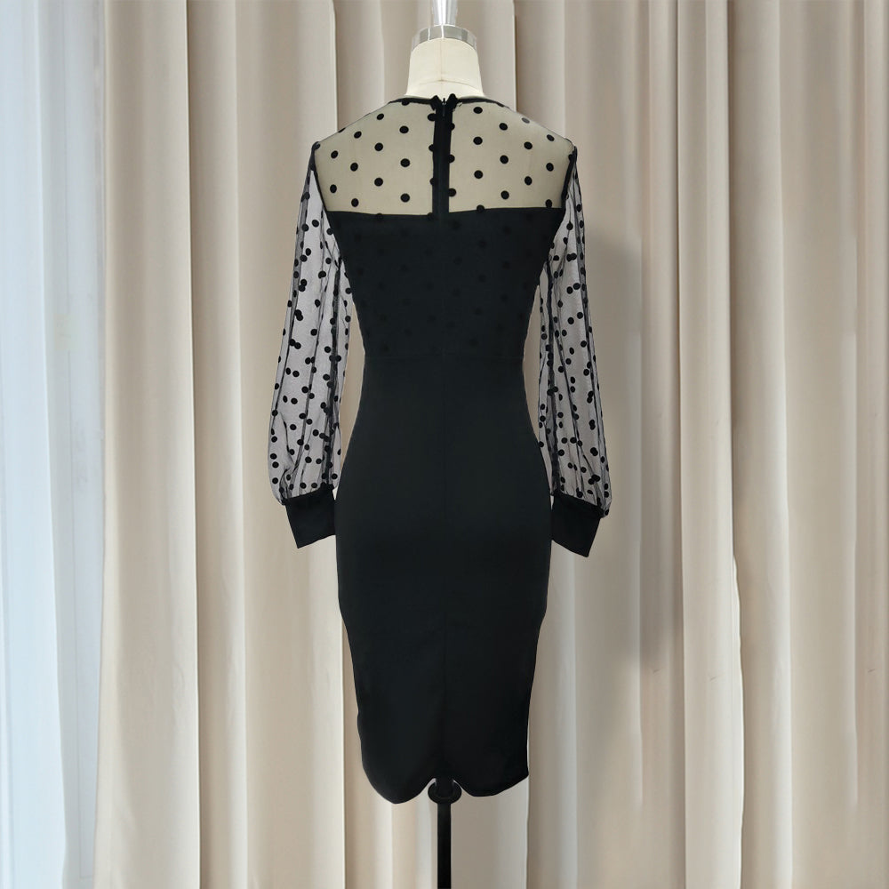 Women Sheer Long Sleeves Polka Dot Bodycon Dress