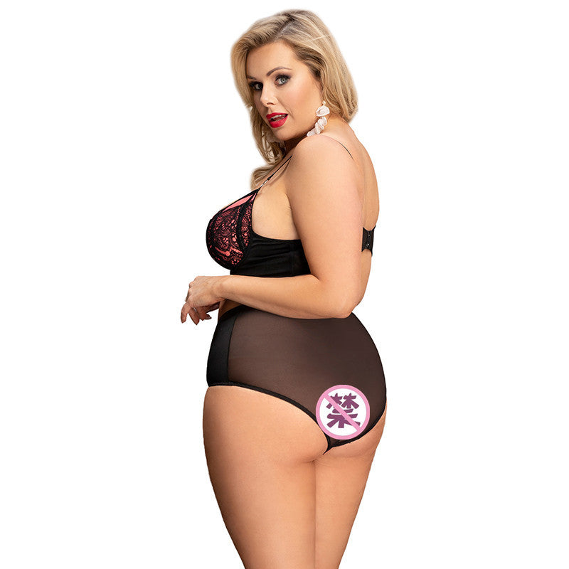 Plus Size Three Point High Waist See-through Underwear Set