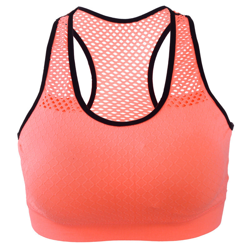 Yoga fitness mesh bra without back