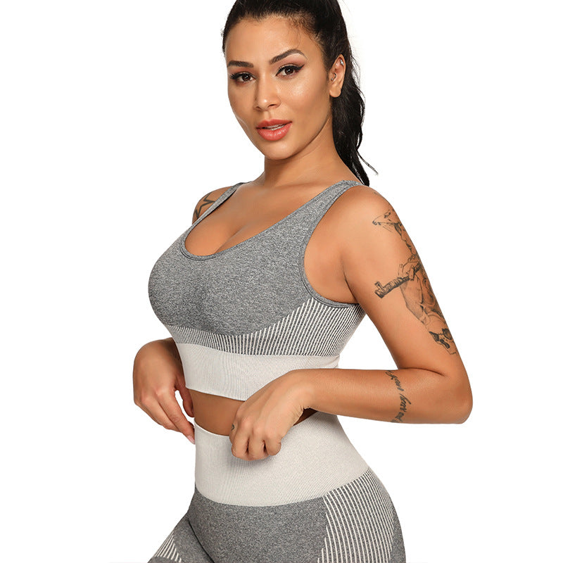 Yoga Set 2 Piece Women Tracksuit Fitness Suit Bra