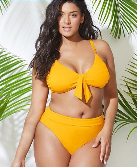 Plus Size Separate Women's Swimsuit Bikini